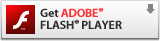 Image of Flash Player